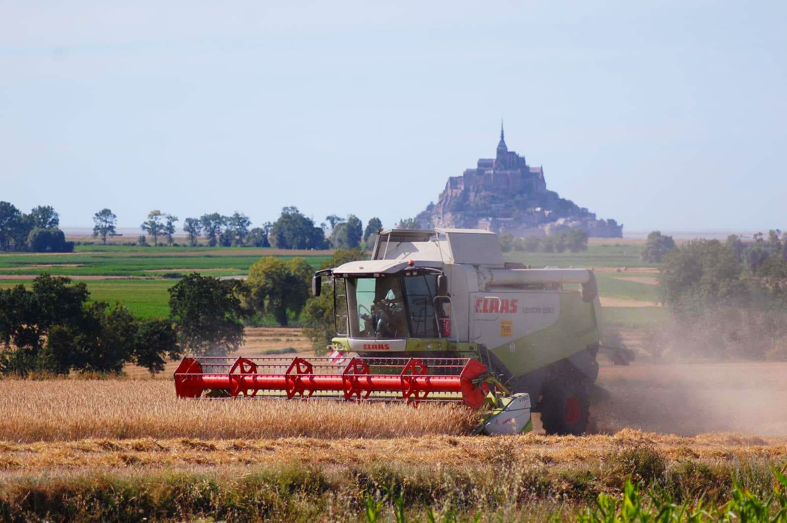 Moisonneuses dans un champs de blé coupé