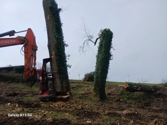 be-equipment-equipmentPicture-2ff4734faeb5a7.jpg